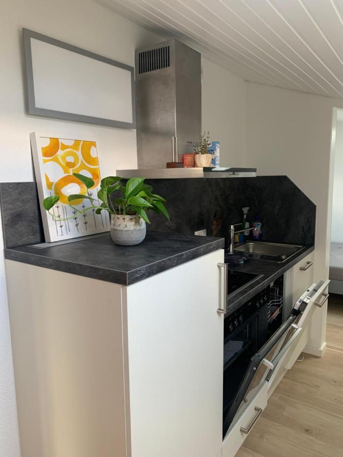 Schoene, Grosse Ferienwohnung Direkt Am Donauradweg & Keltenstadt Heuneburg Herbertingen ภายนอก รูปภาพ