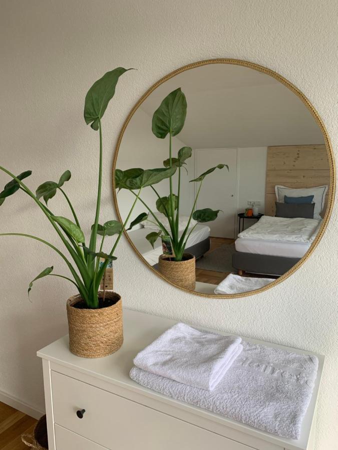 Schoene, Grosse Ferienwohnung Direkt Am Donauradweg & Keltenstadt Heuneburg Herbertingen ภายนอก รูปภาพ