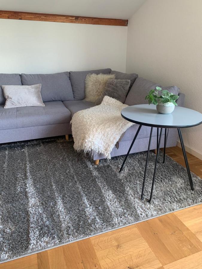 Schoene, Grosse Ferienwohnung Direkt Am Donauradweg & Keltenstadt Heuneburg Herbertingen ภายนอก รูปภาพ