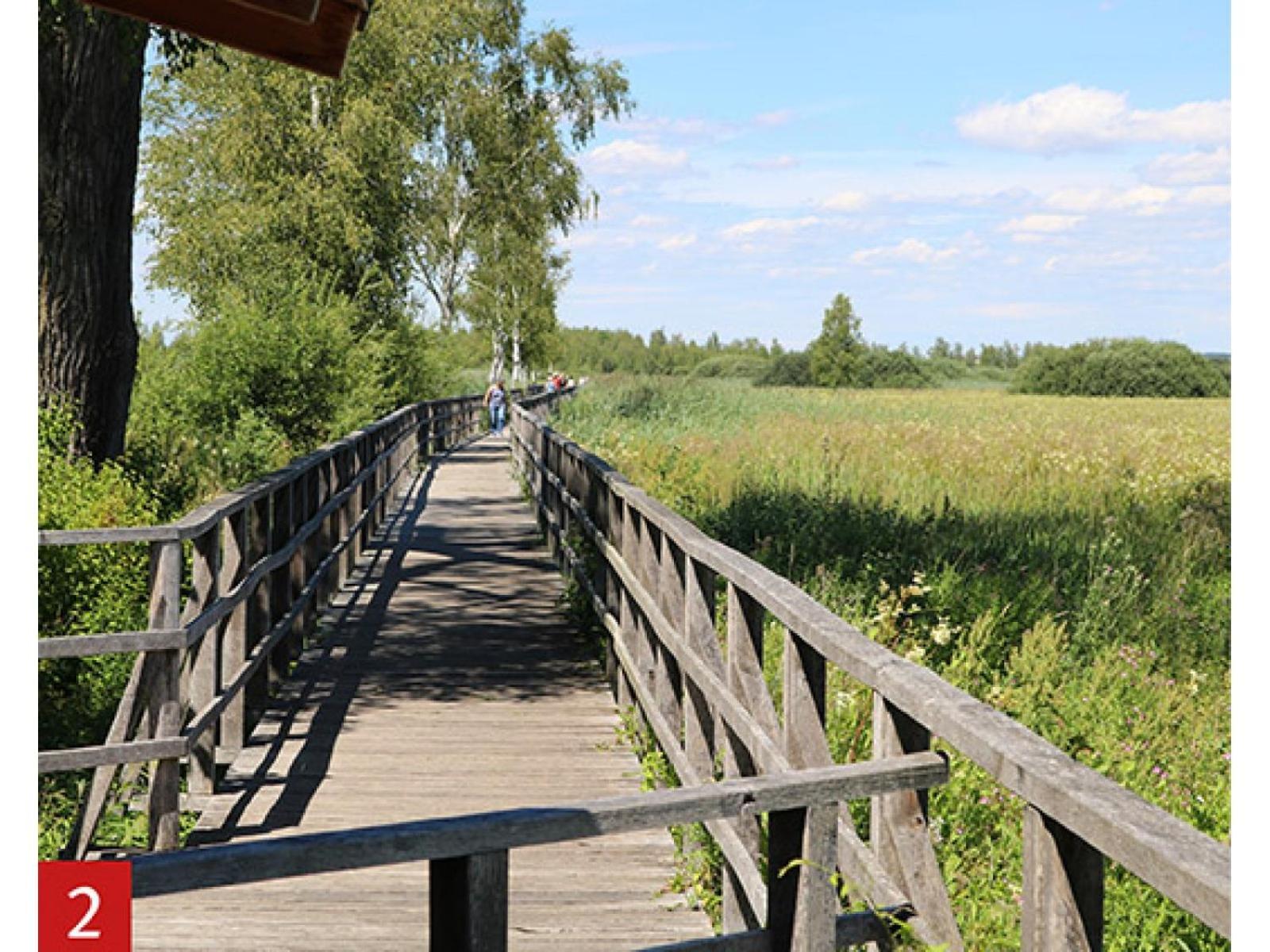 Schoene, Grosse Ferienwohnung Direkt Am Donauradweg & Keltenstadt Heuneburg Herbertingen ภายนอก รูปภาพ